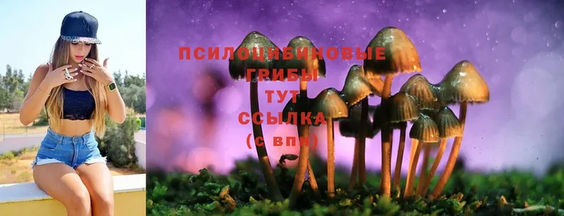 Галлюциногенные грибы Magic Shrooms  Мичуринск 